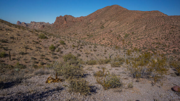 hiking the kofa mountains and kofa wilderness in arizona