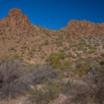Mojave-Sonoran Trail Thru Hike Section 9 – Kofa Wilderness 462