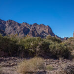 Mojave-Sonoran Trail Thru Hike Section 9 – Kofa Wilderness 464