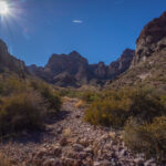 Mojave-Sonoran Trail Thru Hike Section 9 – Kofa Wilderness 466