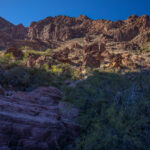 Mojave-Sonoran Trail Thru Hike Section 9 – Kofa Wilderness 469