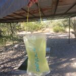 Water Along Mojave Sonoran Trail_001