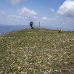 CDT Section Hike Colorado 2021_081