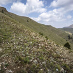 CDT Section Hike Colorado 2021_099