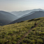 CDT Section Hike Colorado 2021_102