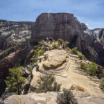 Zion National Park Hike – Angels Landing and The Narrows_031