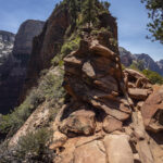 Zion National Park Hike – Angels Landing and The Narrows_039