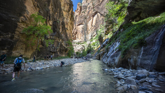 hiking the narrows at zion national park through the virgin river