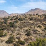 Santa Teresa Mountains AZ Mineral Colecting and Rockhoudning 205