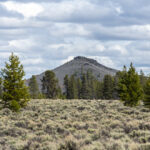 DSC03778-EditFromRAW_1