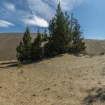 DSC03813-EditFromRAW_1