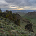 DSC04674-EditFromRAW