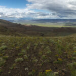 DSC04838-EditFromRAW