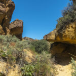 DSC05279-EditFromRAW