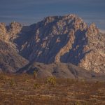 Mojave-Sonoran Trail Thru Hike Section 5 – Spirit Mlountain 032