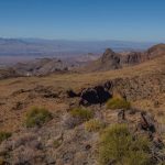 Mojave-Sonoran Trail Thru Hike Section 6 – Bullhead City to Lake Havasu 352